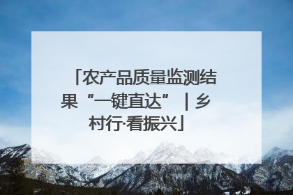 农产品质量监测结果“一键直达”｜乡村行·看振兴
