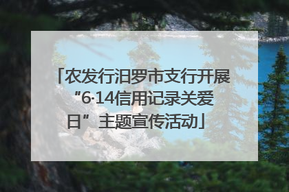 农发行汨罗市支行开展“6·14信用记录关爱日”主题宣传活动