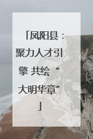 凤阳县：聚力人才引擎 共绘“大明华章”