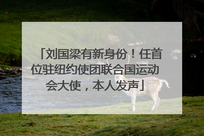 刘国梁有新身份！任首位驻纽约使团联合国运动会大使，本人发声