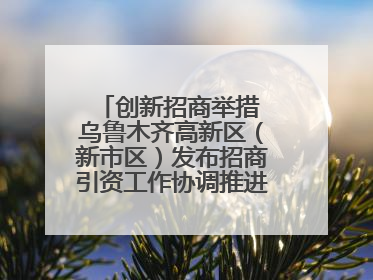 创新招商举措 乌鲁木齐高新区（新市区）发布招商引资工作协调推进机制 打造投资发展新高地