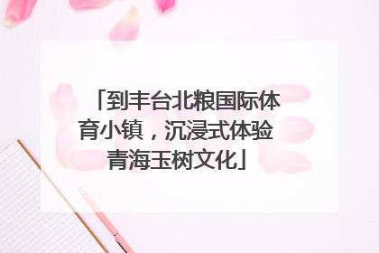 到丰台北粮国际体育小镇，沉浸式体验青海玉树文化