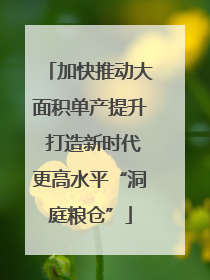 加快推动大面积单产提升 打造新时代更高水平“洞庭粮仓”