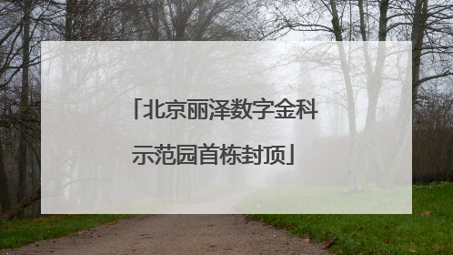 北京丽泽数字金科示范园首栋封顶