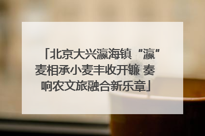 北京大兴瀛海镇“瀛”麦相承小麦丰收开镰 奏响农文旅融合新乐章