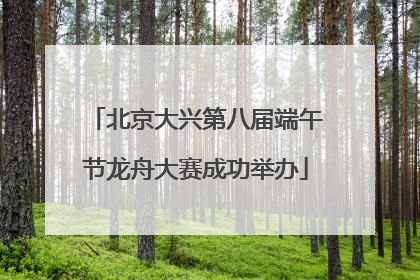 北京大兴第八届端午节龙舟大赛成功举办