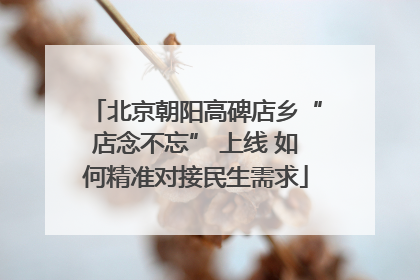 北京朝阳高碑店乡“店念不忘” 上线 如何精准对接民生需求
