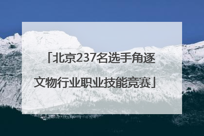 北京237名选手角逐文物行业职业技能竞赛