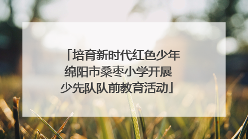 培育新时代红色少年 绵阳市桑枣小学开展少先队队前教育活动