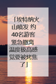 埃特纳火山喷发 约40名游客紧急撤离 温度极高感觉要被烤焦了