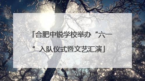合肥中锐学校举办“六一”入队仪式暨文艺汇演