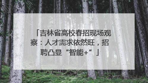 吉林省高校春招现场观察：人才需求依然旺，招聘凸显“智能+”