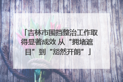 吉林市围挡整治工作取得显著成效 从“拥堵遮目”到“豁然开朗”