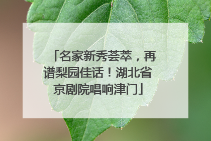 名家新秀荟萃，再谱梨园佳话！湖北省京剧院唱响津门