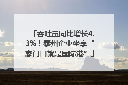 吞吐量同比增长4.3%！泰州企业坐享“家门口就是国际港”