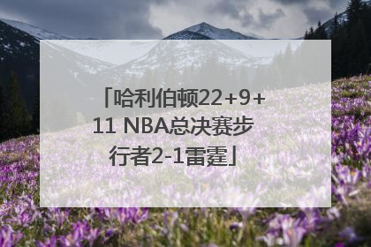 哈利伯顿22+9+11 NBA总决赛步行者2-1雷霆