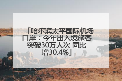 哈尔滨太平国际机场口岸：今年出入境旅客突破30万人次 同比增30.4%