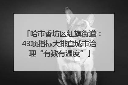 哈市香坊区红旗街道：43项指标大排查城市治理“有数有温度”