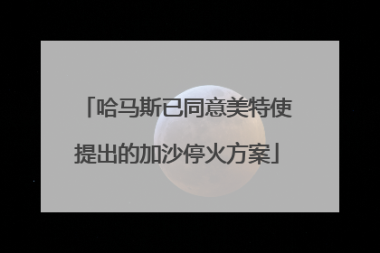 哈马斯已同意美特使提出的加沙停火方案