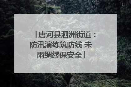 唐河县泗洲街道：防汛演练筑防线 未雨绸缪保安全