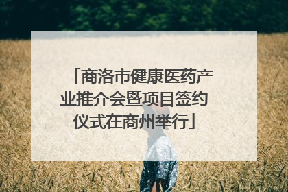 商洛市健康医药产业推介会暨项目签约仪式在商州举行