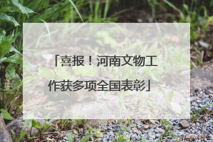 喜报！河南文物工作获多项全国表彰