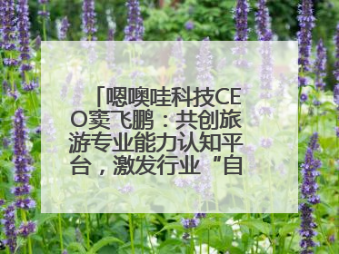 嗯噢哇科技CEO窦飞鹏：共创旅游专业能力认知平台，激发行业“自生长”力量