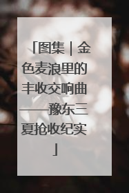 图集｜金色麦浪里的丰收交响曲——豫东三夏抢收纪实