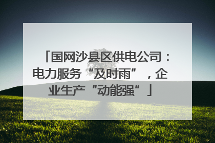国网沙县区供电公司：电力服务“及时雨”，企业生产“动能强”