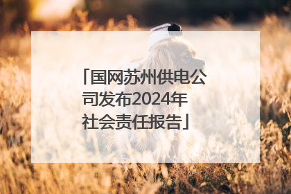 国网苏州供电公司发布2024年社会责任报告