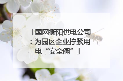 国网衡阳供电公司：为园区企业拧紧用电“安全阀”