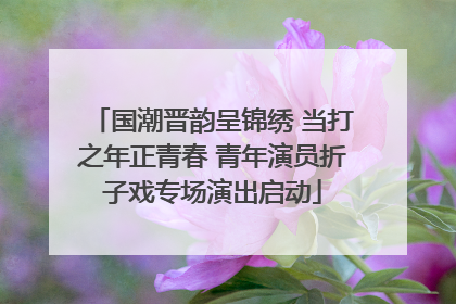 国潮晋韵呈锦绣 当打之年正青春 青年演员折子戏专场演出启动
