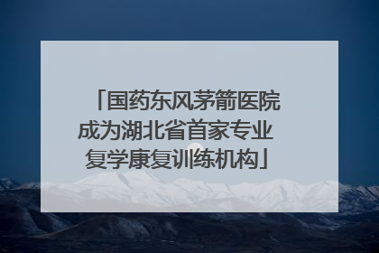 国药东风茅箭医院成为湖北省首家专业复学康复训练机构
