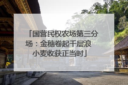 国营民权农场第三分场：金穗卷起千层浪 小麦收获正当时