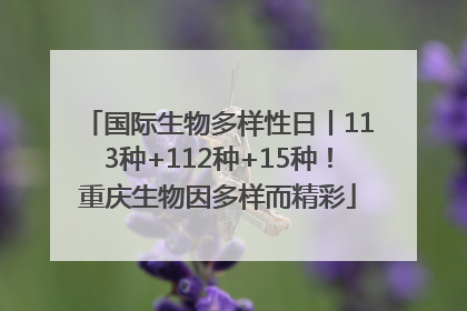 国际生物多样性日丨113种+112种+15种！重庆生物因多样而精彩