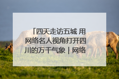 四天走访五城 用网络名人视角打开四川的万千气象｜网络名人四川行