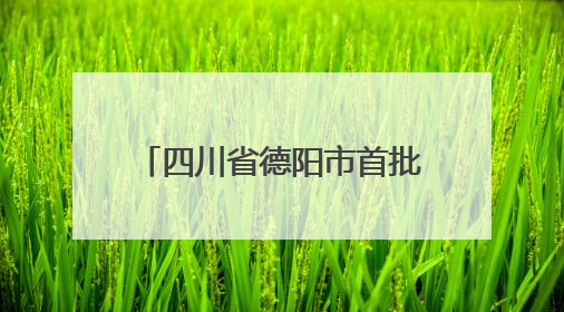 四川省德阳市首批设立5所综合高中