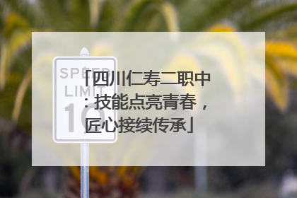四川仁寿二职中：技能点亮青春，匠心接续传承