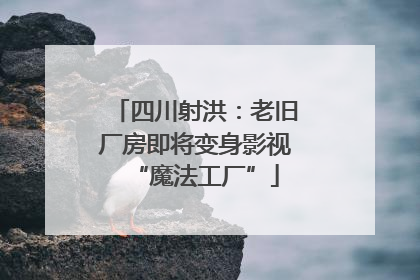 四川射洪：老旧厂房即将变身影视“魔法工厂”