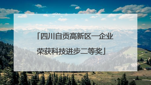 四川自贡高新区一企业荣获科技进步二等奖