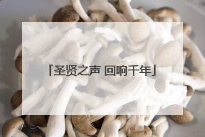 圣贤之声 回响千年