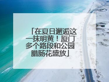 在夏日邂逅这一抹明黄！厦门多个路段和公园腊肠花盛放