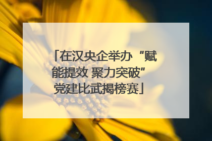 在汉央企举办“赋能提效 聚力突破”党建比武揭榜赛
