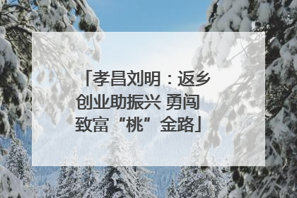 孝昌刘明：返乡创业助振兴 勇闯致富“桃”金路