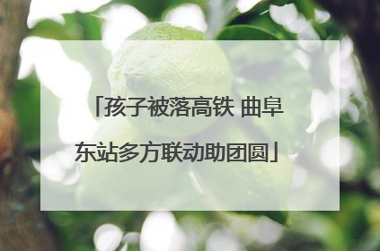孩子被落高铁 曲阜东站多方联动助团圆