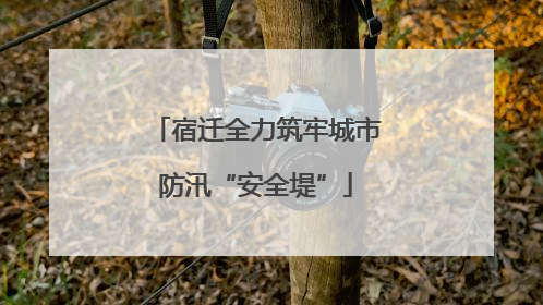 宿迁全力筑牢城市防汛“安全堤”