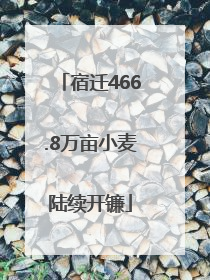 宿迁466.8万亩小麦陆续开镰