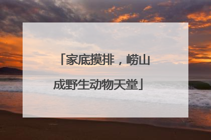 家底摸排，崂山成野生动物天堂