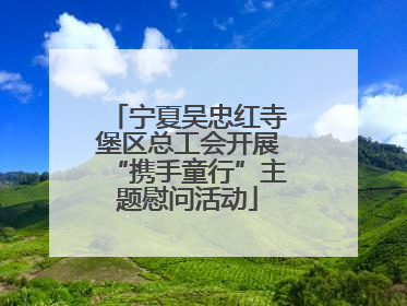 宁夏吴忠红寺堡区总工会开展“携手童行”主题慰问活动