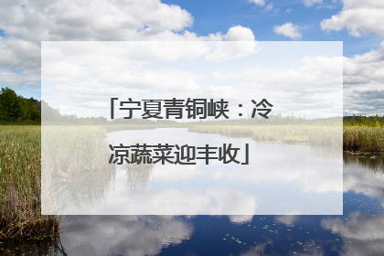 宁夏青铜峡：冷凉蔬菜迎丰收